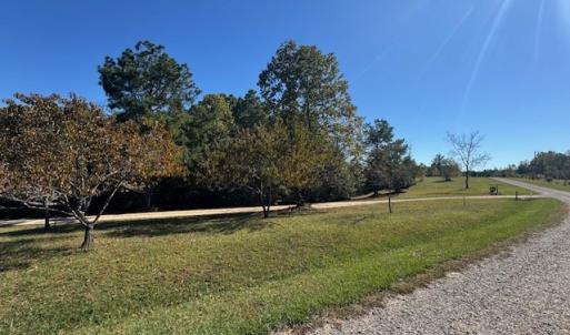 Photo #17 of 827 Wolf Creek Ln, Appomattox, VA 15.3 acres