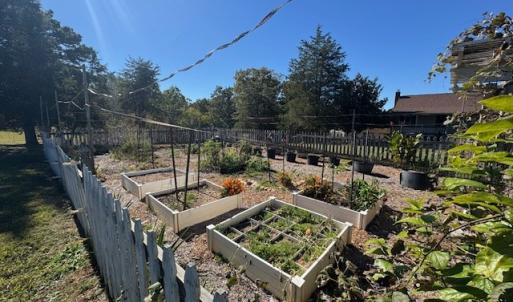 Photo #33 of 827 Wolf Creek Ln, Appomattox, VA 15.3 acres