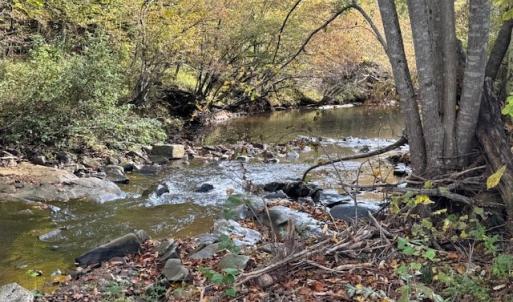 Photo #34 of 827 Wolf Creek Ln, Appomattox, VA 15.3 acres