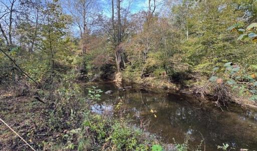 Photo #35 of 827 Wolf Creek Ln, Appomattox, VA 15.3 acres