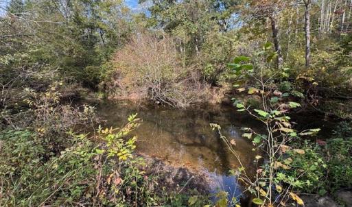Photo #36 of 827 Wolf Creek Ln, Appomattox, VA 15.3 acres