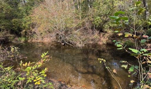 Photo #37 of 827 Wolf Creek Ln, Appomattox, VA 15.3 acres