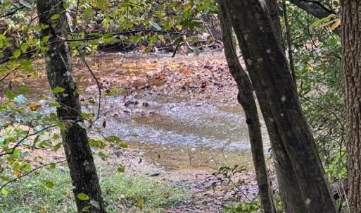 Photo #38 of 827 Wolf Creek Ln, Appomattox, VA 15.3 acres