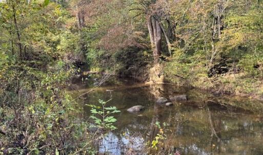 Photo #39 of 827 Wolf Creek Ln, Appomattox, VA 15.3 acres