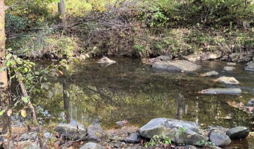 Photo #40 of 827 Wolf Creek Ln, Appomattox, VA 15.3 acres