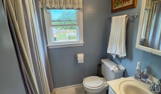 Photo #48 of 827 Wolf Creek Ln, Appomattox, VA 15.3 acres