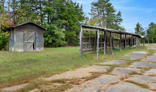 Photo #15 of 2254 S GENITO RD, Burkeville, VA 15.9 acres