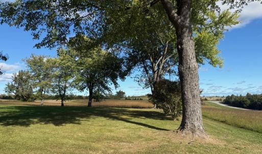 Photo #31 of 200 Jenkins Creek Rd, Cullen, VA 6.8 acres