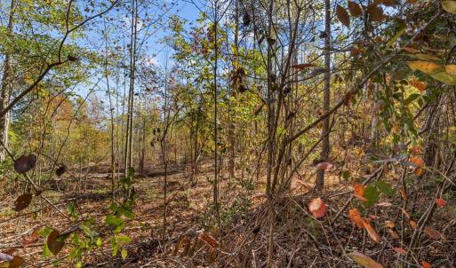 Photo #65 of 2255 Gully Tavern Rd, Rice, VA 8.0 acres