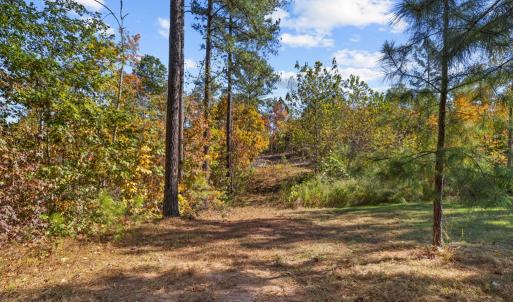 Photo #67 of 2255 Gully Tavern Rd, Rice, VA 8.0 acres