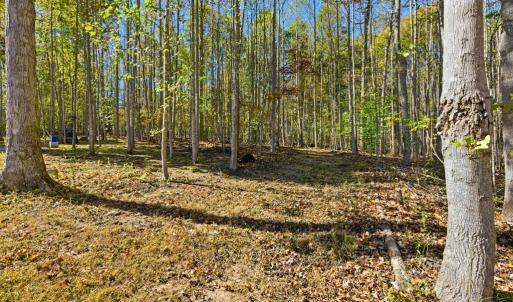 Photo #53 of 8000 Pembelton Dr., Amelia Court House, VA 5.6 acres