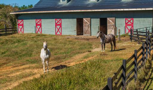 Photo #39 of 5565 Saxkey Road, Saxe, VA 91.3 acres