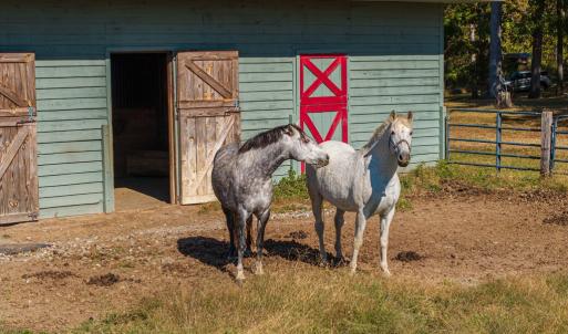 Photo #40 of 5565 Saxkey Road, Saxe, VA 91.3 acres