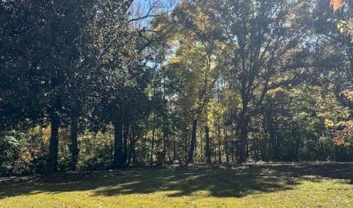 Photo #23 of 941 Saxkey Rd, Drakes Branch, VA 50.0 acres