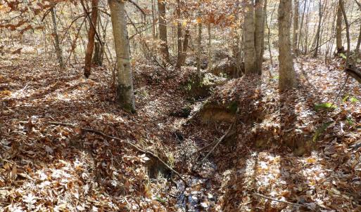 Photo #25 of 941 Saxkey Rd, Drakes Branch, VA 50.0 acres