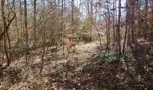 Photo #26 of 941 Saxkey Rd, Drakes Branch, VA 50.0 acres