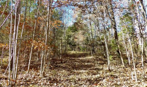 Photo #27 of 941 Saxkey Rd, Drakes Branch, VA 50.0 acres