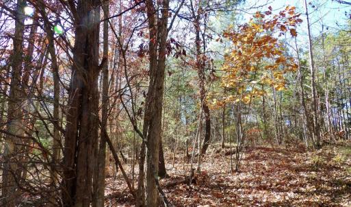 Photo #28 of 941 Saxkey Rd, Drakes Branch, VA 50.0 acres