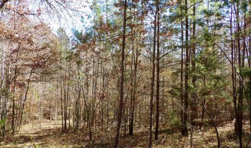 Photo #29 of 941 Saxkey Rd, Drakes Branch, VA 50.0 acres