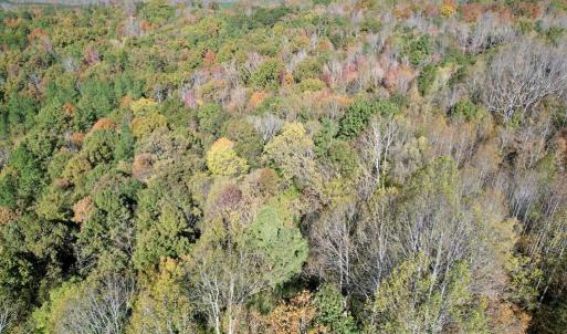 Photo #31 of 941 Saxkey Rd, Drakes Branch, VA 50.0 acres