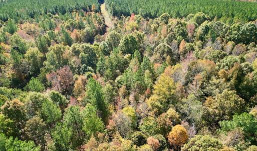 Photo #32 of 941 Saxkey Rd, Drakes Branch, VA 50.0 acres