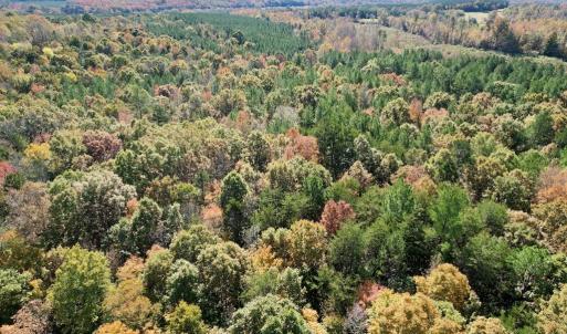 Photo #33 of 941 Saxkey Rd, Drakes Branch, VA 50.0 acres