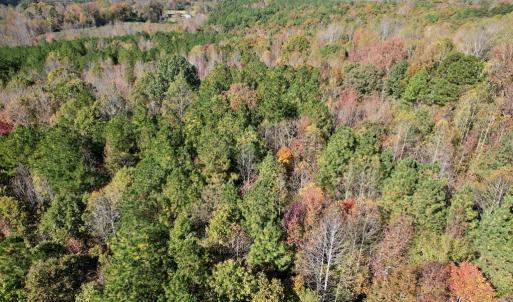 Photo #34 of 941 Saxkey Rd, Drakes Branch, VA 50.0 acres