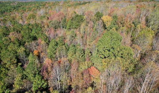 Photo #35 of 941 Saxkey Rd, Drakes Branch, VA 50.0 acres