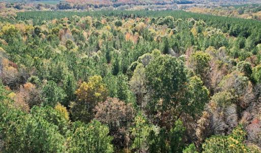 Photo #36 of 941 Saxkey Rd, Drakes Branch, VA 50.0 acres