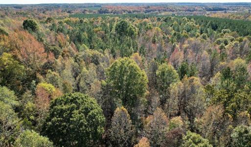 Photo #37 of 941 Saxkey Rd, Drakes Branch, VA 50.0 acres