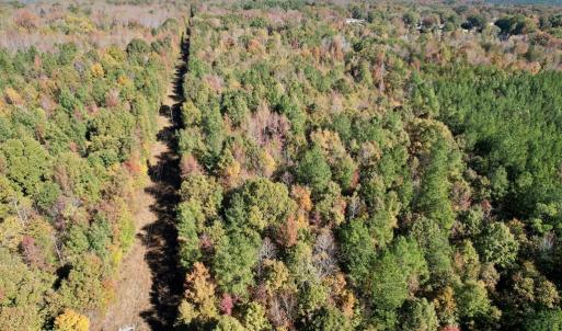 Photo #38 of 941 Saxkey Rd, Drakes Branch, VA 50.0 acres