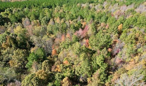 Photo #39 of 941 Saxkey Rd, Drakes Branch, VA 50.0 acres