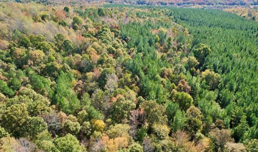 Photo #40 of 941 Saxkey Rd, Drakes Branch, VA 50.0 acres