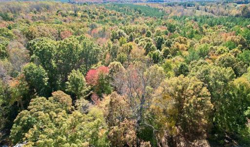 Photo #41 of 941 Saxkey Rd, Drakes Branch, VA 50.0 acres