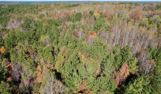 Photo #42 of 941 Saxkey Rd, Drakes Branch, VA 50.0 acres