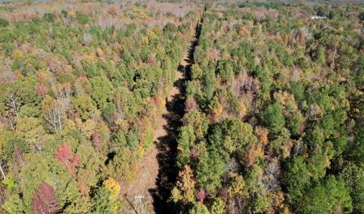 Photo #43 of 941 Saxkey Rd, Drakes Branch, VA 50.0 acres