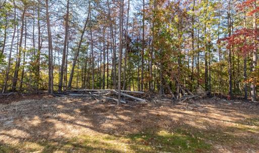 Photo #36 of Lot 25 Layne Street, Farmville, VA 0.1 acres