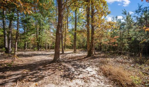 Photo #36 of 2072 Cumberland Rd, Farmville, VA 11.2 acres