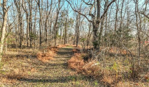 Photo #41 of 1392 Sports Lake Road, Columbia, VA 7.3 acres
