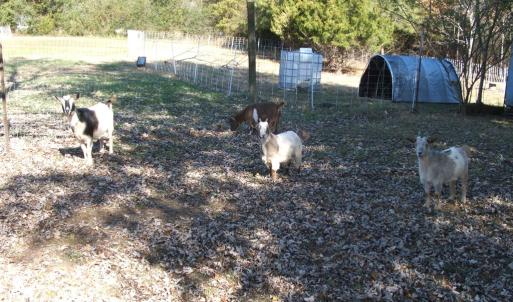 Photo #12 of 974 Meherrin Road, Meherrin, VA 10.0 acres