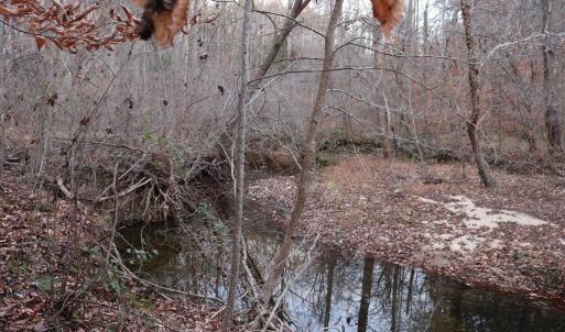 Photo #49 of 128 Quarry, Cumberland, VA 5.6 acres