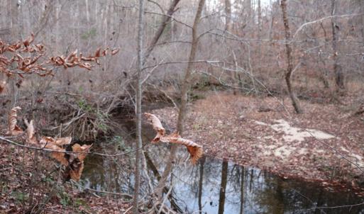 Photo #50 of 128 Quarry, Cumberland, VA 5.6 acres