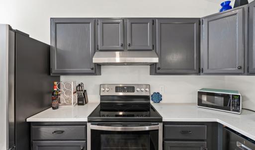 Photo #11 of 244 Ridgeway Dr, Farmville, VA 3.1 acres