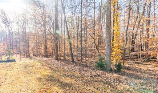 Photo #31 of 244 Ridgeway Dr, Farmville, VA 3.1 acres