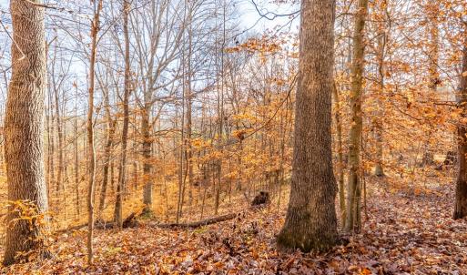 Photo #39 of 244 Ridgeway Dr, Farmville, VA 3.1 acres