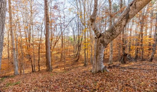 Photo #40 of 244 Ridgeway Dr, Farmville, VA 3.1 acres