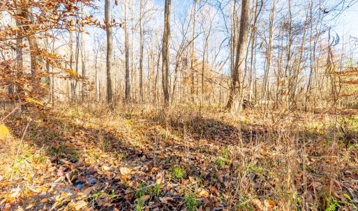 Photo #41 of 244 Ridgeway Dr, Farmville, VA 3.1 acres