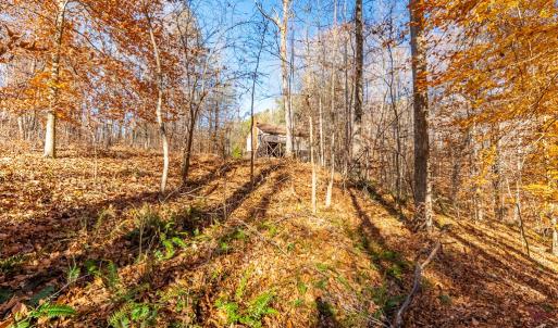 Photo #42 of 244 Ridgeway Dr, Farmville, VA 3.1 acres