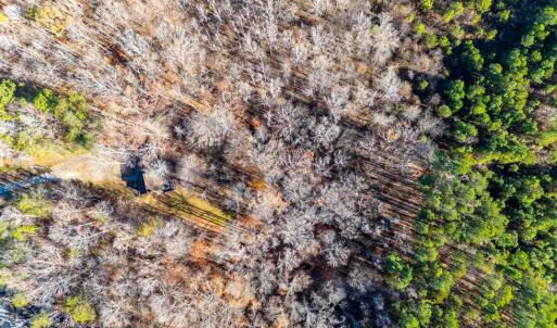 Photo #43 of 244 Ridgeway Dr, Farmville, VA 3.1 acres