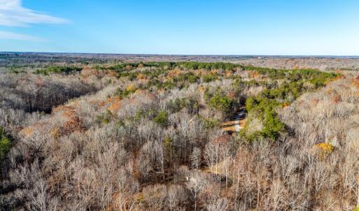 Photo #45 of 244 Ridgeway Dr, Farmville, VA 3.1 acres